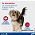 Vermífugo Milbemax C para Cães 5 a 25kg com 2 Comprimidos Contra Vermes Infecções Intestinais Elanco - Imagem 3