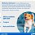 Antipulgas Capstar Nitenpiram 11,4mg para Cães e Gatos até 11,4kg com 1 Comprimido Elanco - Imagem 6
