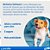 Antipulgas Capstar Nitenpiram 57mg para Cães de 11,4kg até 57kg com 1 Comprimido Elanco - Imagem 6