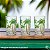 Kit 6 Copos de Vidro Palm Tree Color Coqueiro 350ml Transparente Água Suco Refrigerante - Class Home - Imagem 5