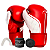 Kit Luva De Boxe E Muay Thai First FX1 + 1 Par de Bandagens + 1 Protetor Bucal - Pretorian - Imagem 3