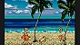 Jogo Greendog: The Beached Surfer - Mega Drive - Imagem 5