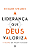 A liderança que Deus valoriza: 17 valores que moldam o sucesso - Imagem 1