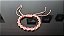 Conjunto Rosa Borboleta - Imagem 4