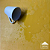 COURÍSSIMO CASCO MOSTARDA (Y011) - Imagem 2