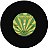 THE WILLOWS - BABY LET ME FEEL IT - Imagem 1