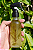Spray Energético Axé - Renovação e Proteção (120ml) - Imagem 2