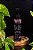 Spray Energético Lua - Cura e Elevação (60ml) - Imagem 1