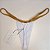 Calcinha Basic Bronze 6 Cós Fixo - Branco Texturizado + Dourado Glow - Deusas Gregas - Imagem 1