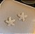 Brinco Estrela Perolada - Imagem 1