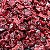 CRANBERRY SECO - Imagem 1