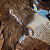 Colher Magic - Imagem 2
