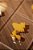 Jogo da Velha Snoopy e Woodstock - Imagem 2