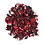 HIbisco em Flor - Imagem 1