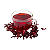 HIbisco em Flor - Imagem 2