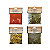 Kit Temperos e Condimentos Cozinha Completa M - 8 Unid - Imagem 4