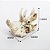Cranio Triceratops 16X8X11Cm Ns-114 Nomoypet - Imagem 2