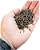 Lelekun Ou Lelecun Africano Para Assentamento - 100g - Imagem 2
