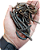 Bejerecum Ou Begerecum Legitimo - 100g - Imagem 2