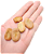 Fava De Iansã - Umbanda E Condomblé - Imagem 3