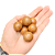 Fava De Guian - Umbanda E Condomblé - Imagem 3