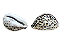 Buzios Age Tiger Marrom Grande Africano - Unidade - Imagem 2