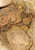 Pedra De Exu Ota De Exu Yangi Laterita vermelha - 1Kg - Imagem 2