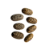 Fava Escroto de Exu - Unidade - Imagem 2