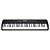 Teclado Waldman Classtone WTS300 BK Preto - Imagem 1