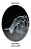 Armação De Rena Neon fêmea Branco Frio com movimento 220V IP44 uso externo. - Imagem 1