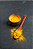 Açafrão (30 g) - Imagem 1