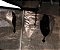 Estufa Grow Cultivo Indoor - Wee Grow - 80x80x160 cm - Imagem 7