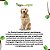 Pet Palatto Full Power Cães Adultos(15kg) - Imagem 2