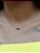 Conjunto olho grego - corrente e pulseira - banhado a ouro 18k - Imagem 3