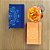Kit com 4 Sketchbooks - Imagem 1