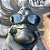 Eye Jacket All Black - Imagem 2