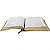 Bíblia Sagrada NAA - Capa Luxo - Leão Dourado - Imagem 2