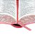 Bíblia Sagrada - ARA - Pequena - Letra Grande - Bordas Floridas - Rosa - Imagem 3