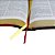 A Bíblia Do Pregador - Revista e Corrigida - Média - Marrom/Vermelha - Imagem 3