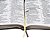 Bíblia Sagrada - Letra Gigante- com índice lateral - NTLH - Marrom - Imagem 4