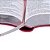 Bíblia Sagrada Letra Extragigante - NTLH - com índice - Rosa - Imagem 5