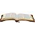 Bíblia Sagrada Letra Grande - com zíper - ARC - Linha Ouro - Caramelo - Imagem 2