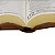 Bíblia Sagrada Letra Grande - com zíper - NAA - Linha Ouro - Caramelo - Imagem 4
