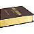 Lançamento - Bíblia Sagrada - NAA - Letra Gigante - Linha Ouro -  Marrom - Imagem 2