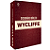 Dicionário Bíblico Wycliffe - CPAD - Imagem 1