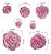 Molde De Silicone: Rosas Variadas - Imagem 2