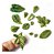 Molde De Silicone: Plantas Variadas - Imagem 4