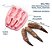 Molde De Silicone: Garras de Dinossauros - 5,5 cm - Imagem 2