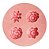 Molde De Silicone: Flores Diversas - Imagem 3