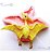Molde De Silicone: Dinossauro Pterodátilo - 5,5 x 7,5 cm - Imagem 1